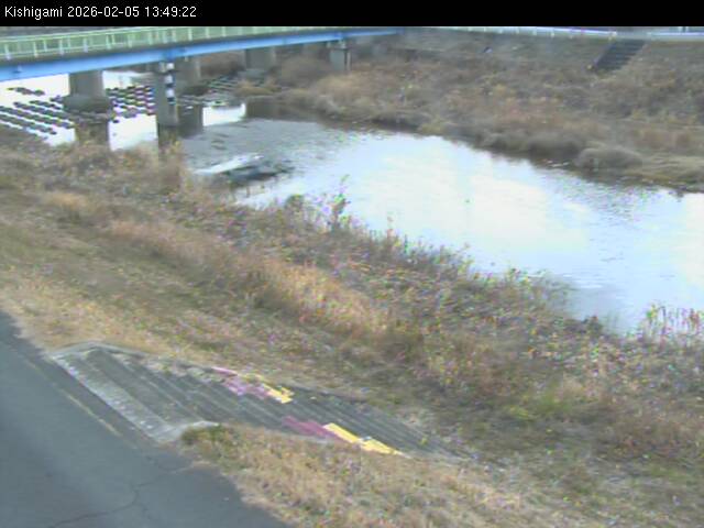 最新監視カメラ画像