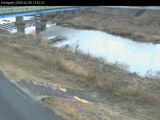 最新監視カメラ画像