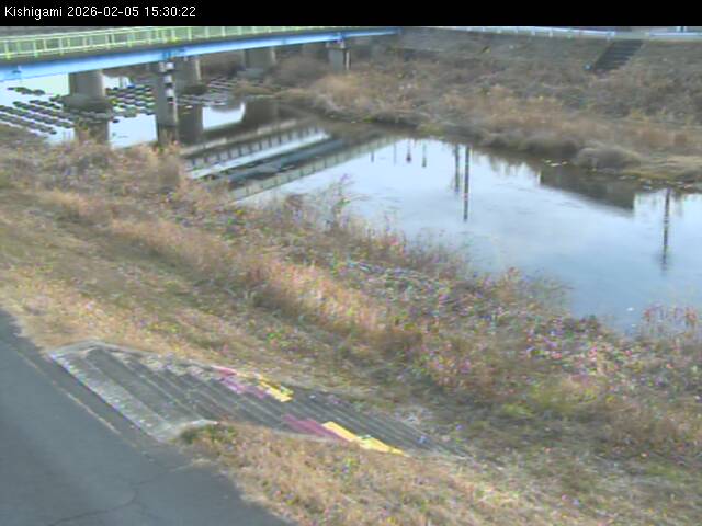 最新監視カメラ画像