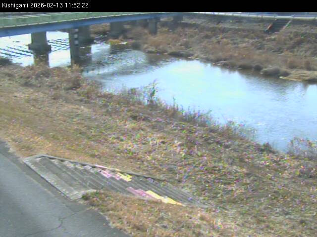 最新監視カメラ画像