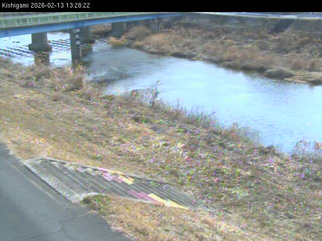 最新監視カメラ画像