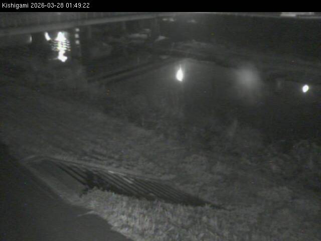 最新監視カメラ画像