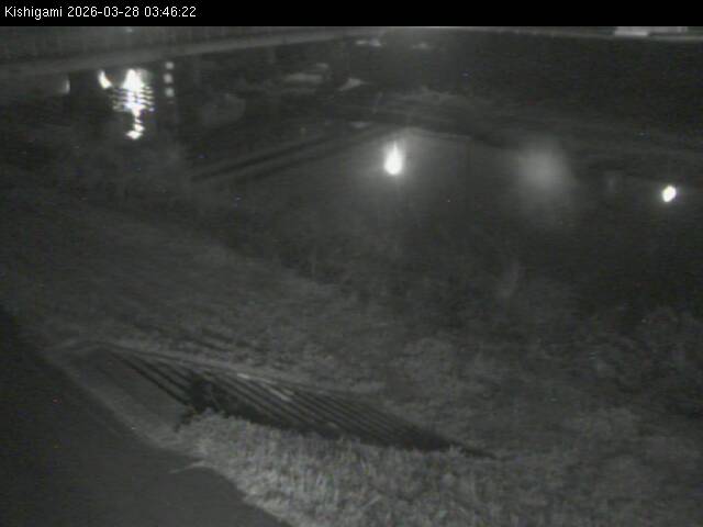 最新監視カメラ画像