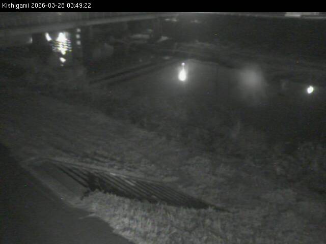 最新監視カメラ画像