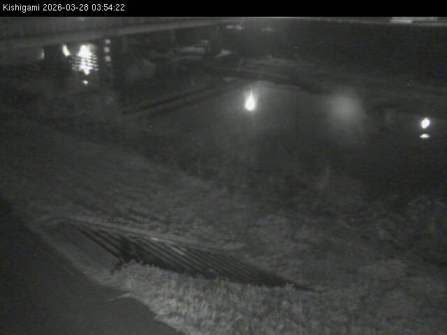 最新監視カメラ画像