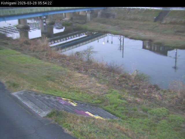 最新監視カメラ画像