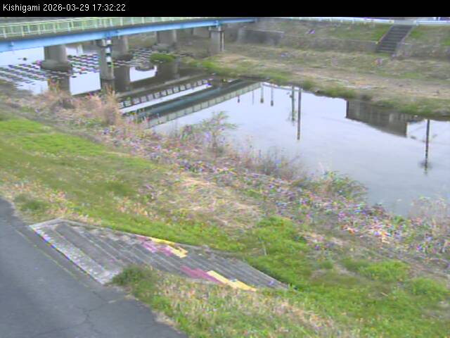 最新監視カメラ画像