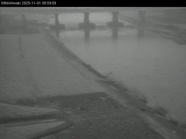 最新監視カメラ画像