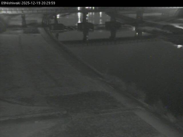 最新監視カメラ画像