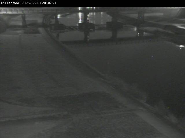 最新監視カメラ画像