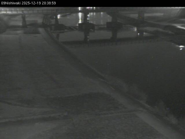 最新監視カメラ画像