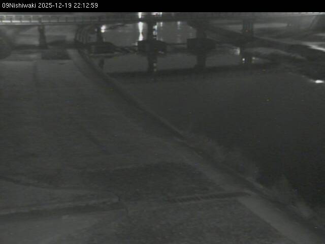 最新監視カメラ画像