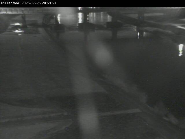 最新監視カメラ画像