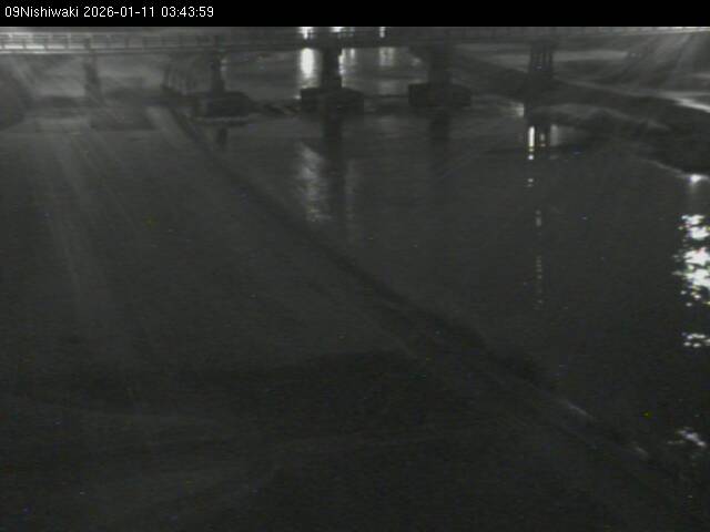 最新監視カメラ画像