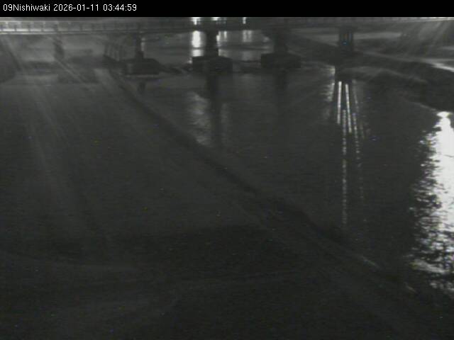 最新監視カメラ画像