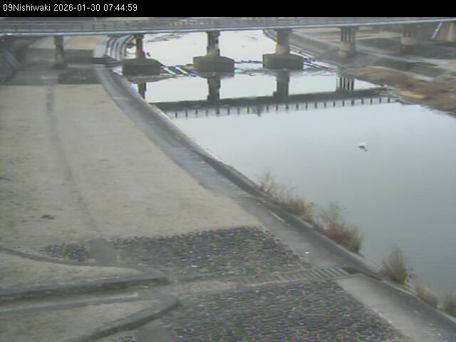 最新監視カメラ画像