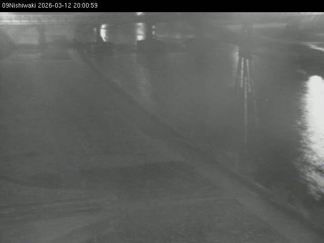 最新監視カメラ画像