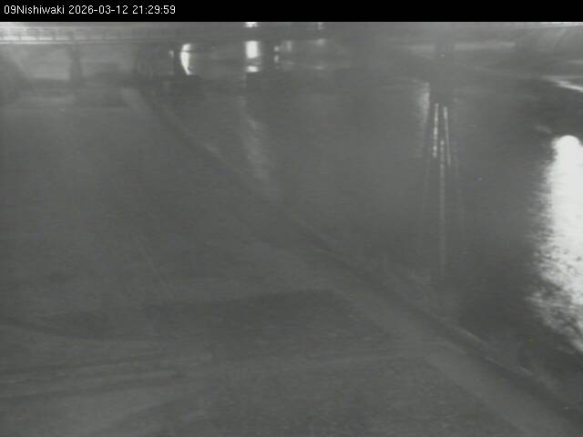 最新監視カメラ画像