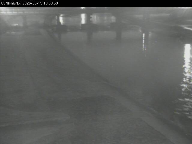 最新監視カメラ画像