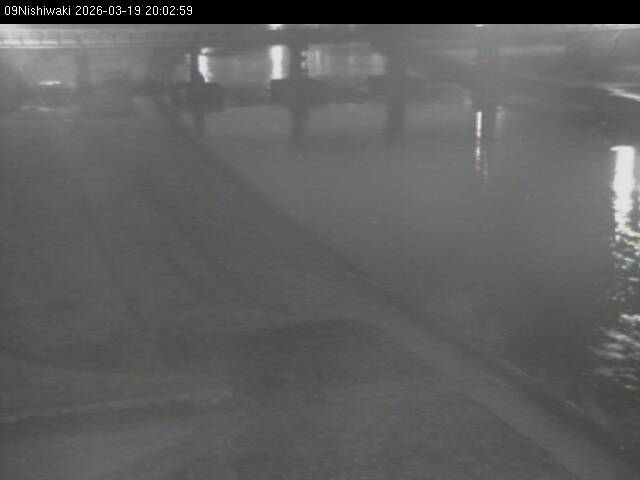 最新監視カメラ画像