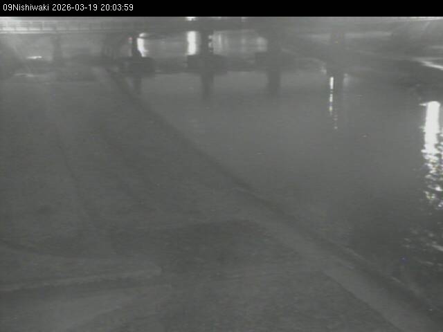 最新監視カメラ画像