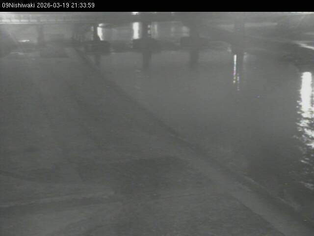 最新監視カメラ画像