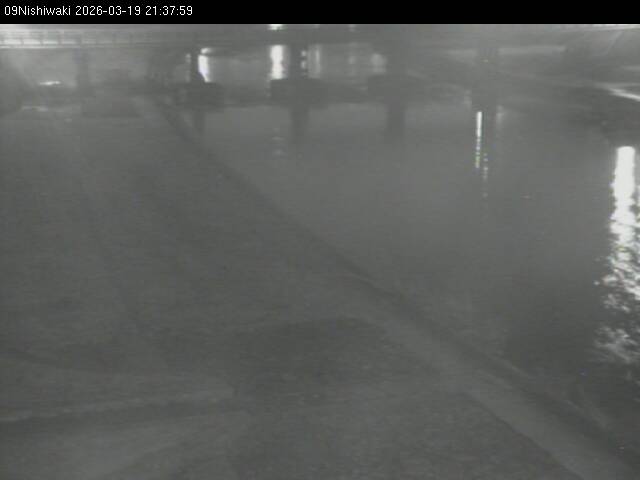 最新監視カメラ画像