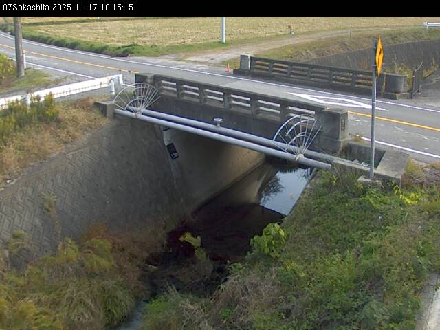 最新監視カメラ画像