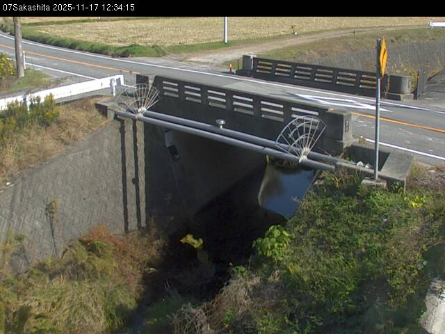 最新監視カメラ画像