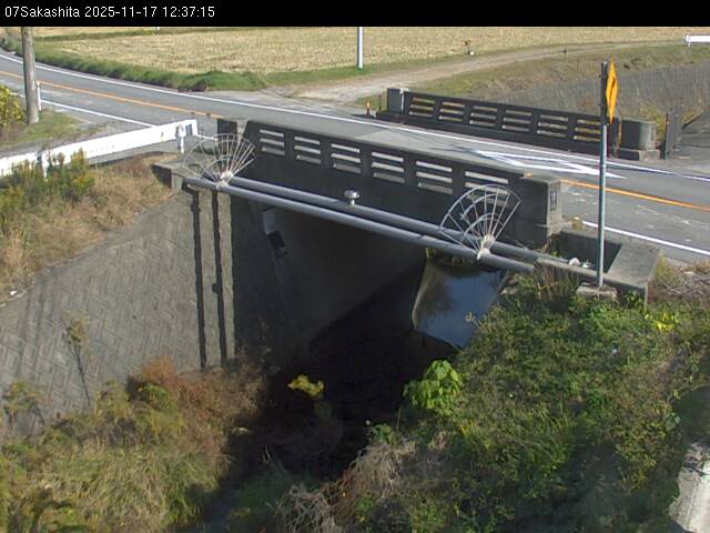 最新監視カメラ画像