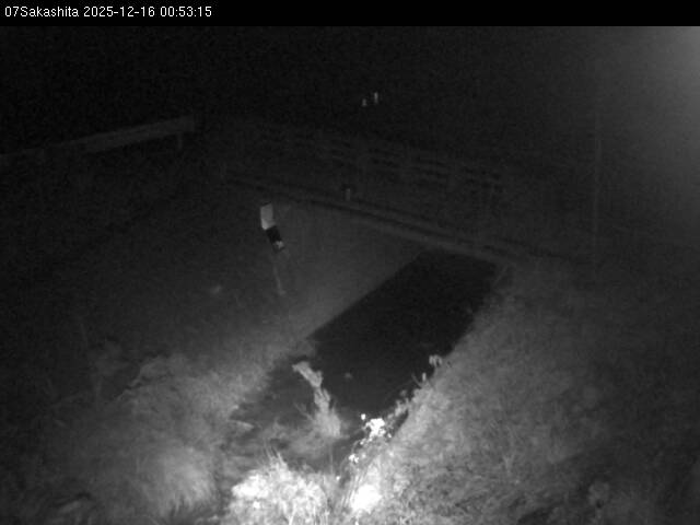 最新監視カメラ画像