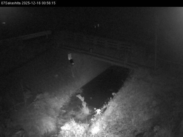 最新監視カメラ画像