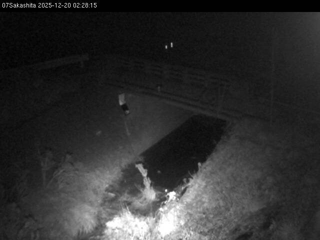 最新監視カメラ画像