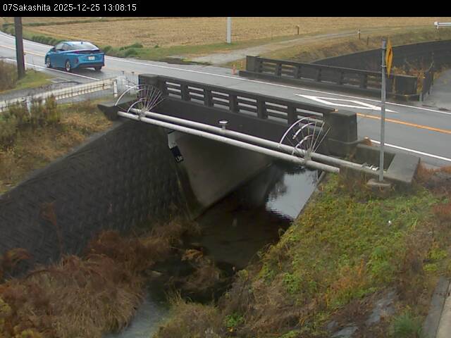 最新監視カメラ画像