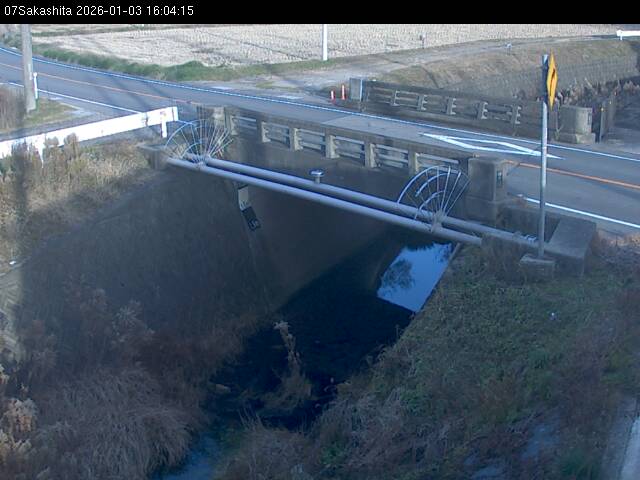 最新監視カメラ画像