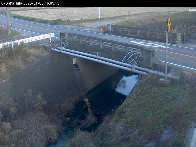 最新監視カメラ画像