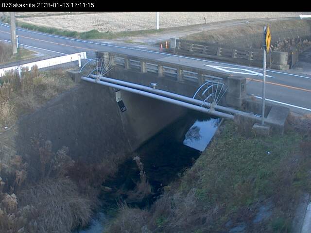 最新監視カメラ画像