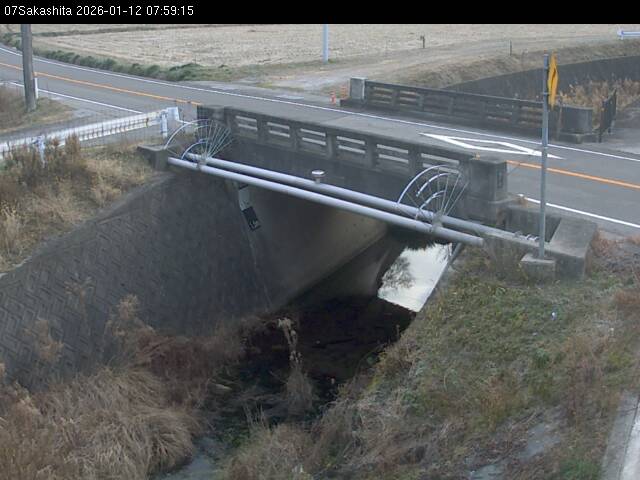 最新監視カメラ画像