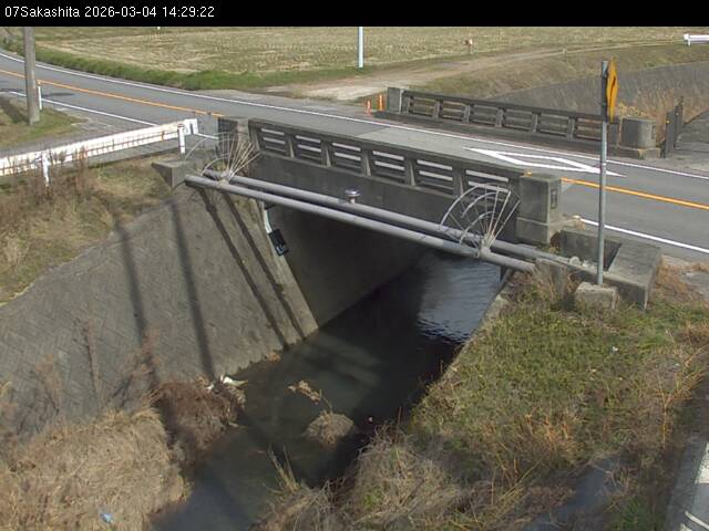 最新監視カメラ画像