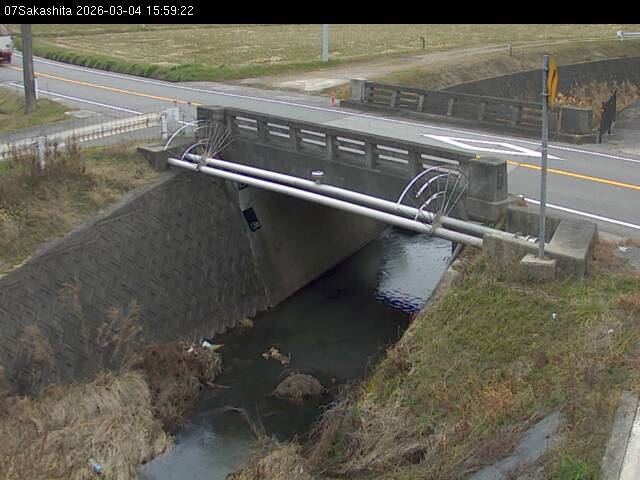 最新監視カメラ画像