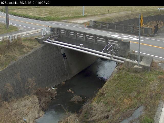 最新監視カメラ画像