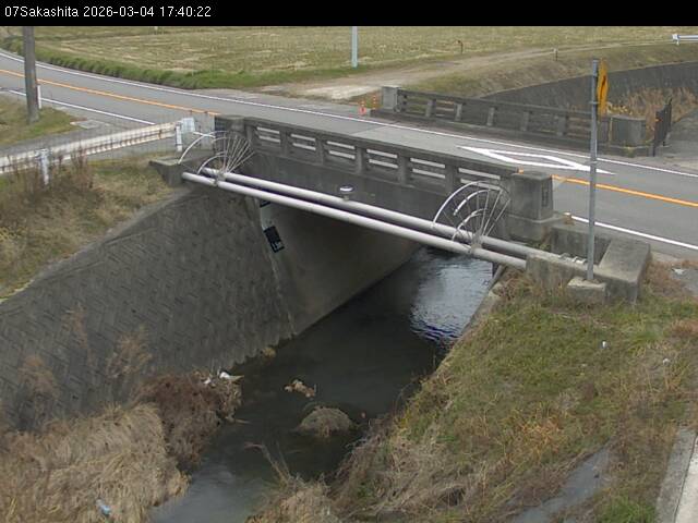 最新監視カメラ画像