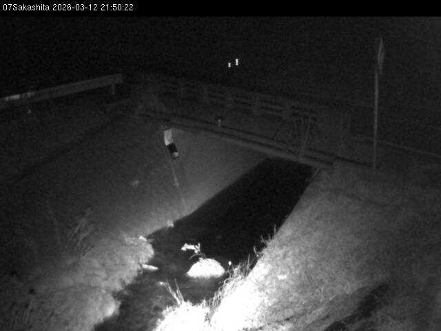 最新監視カメラ画像