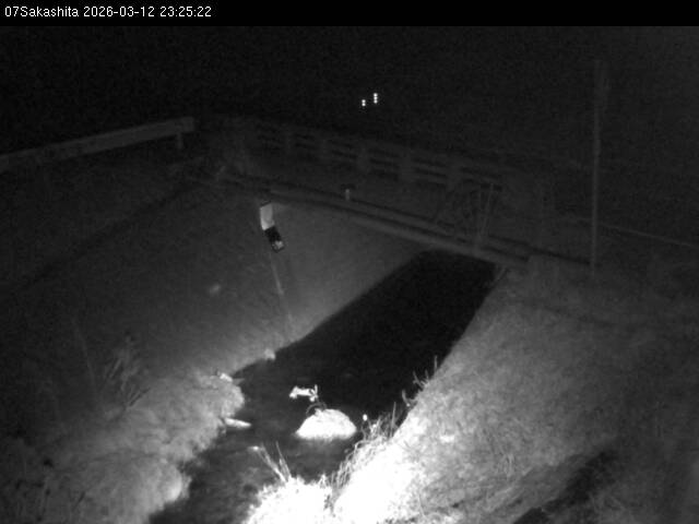 最新監視カメラ画像