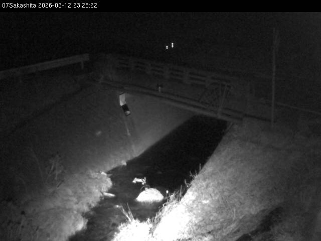 最新監視カメラ画像