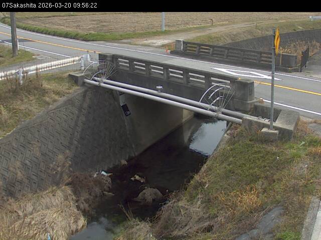 最新監視カメラ画像