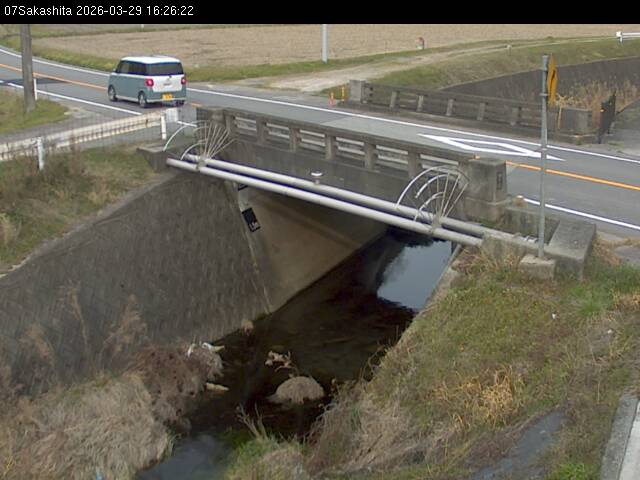 最新監視カメラ画像