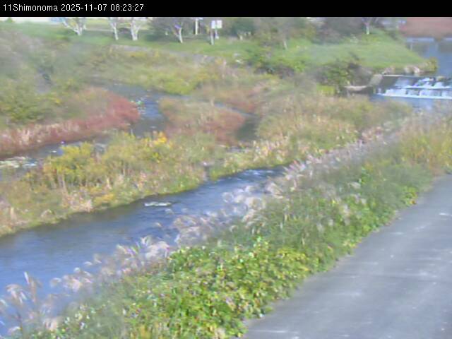 最新監視カメラ画像