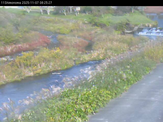 最新監視カメラ画像