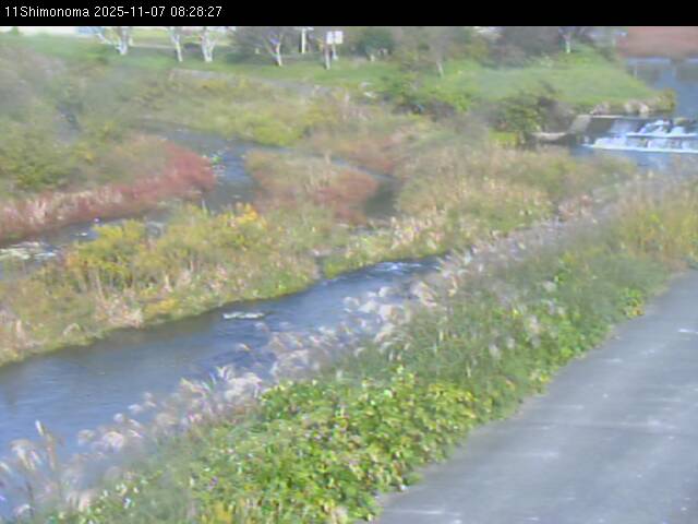 最新監視カメラ画像